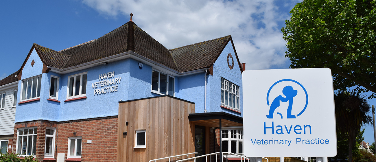 Haven Vets In Clacton On Sea & Walton On The Naze
