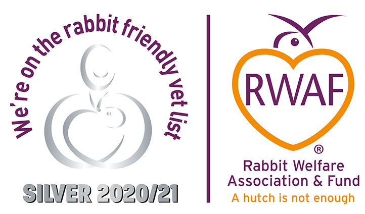 Rabbit Friendly Clinic