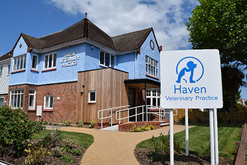 Haven Vet Surgery In Clacton-on-Sea